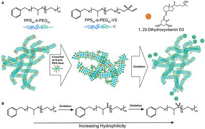 An Injectable Hydrogel Platform for Sustained Delivery of Anti-inflammatory Nanocarriers and Induction of Regulatory T Cells in Atherosclerosis